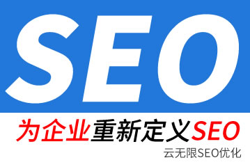 专业的seo公司